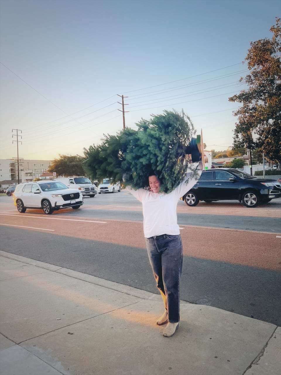 PLATESLAM: The Complete Guide