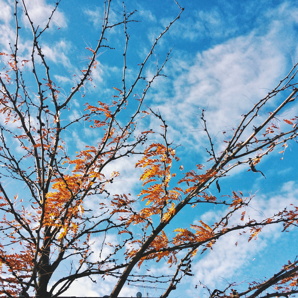 'i ruined my body when i was young, and i hate paying the price'