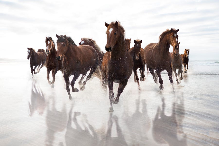 How to eat like a big beautiful horse