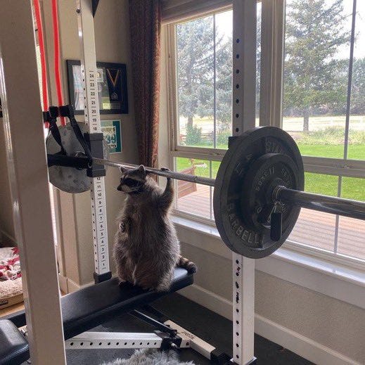 Why would a ballet dancer lift weights?